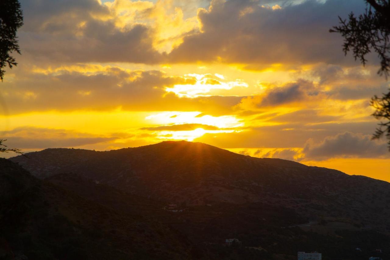 Olenia Residence Agia Pelagia Kythira المظهر الخارجي الصورة