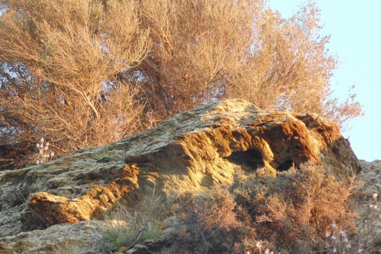 Olenia Residence Agia Pelagia Kythira المظهر الخارجي الصورة