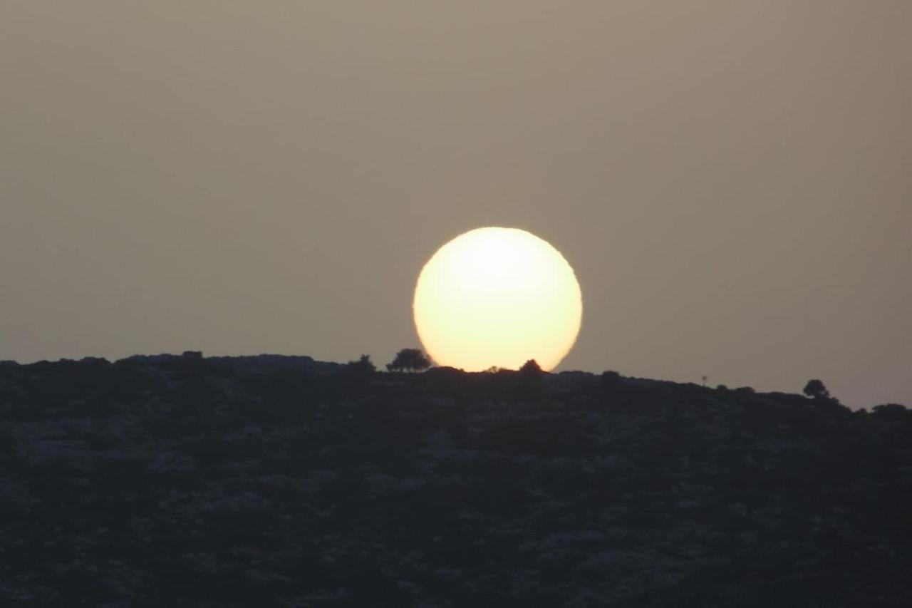 Olenia Residence Agia Pelagia Kythira المظهر الخارجي الصورة