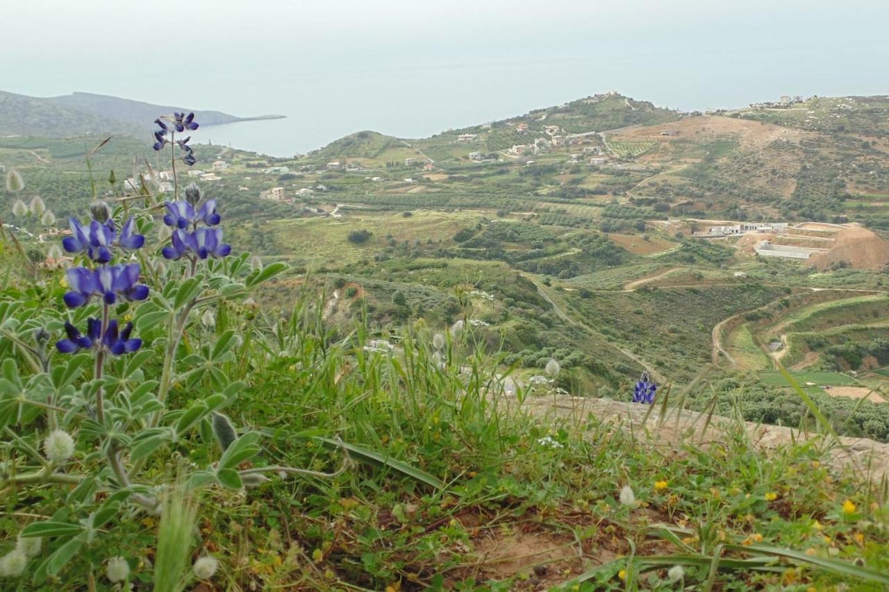 Olenia Residence Agia Pelagia Kythira المظهر الخارجي الصورة
